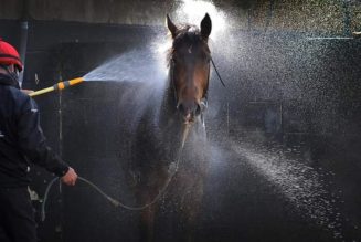 UK Heatwave Forces Some Horse Racing Meetings To Be Called Off