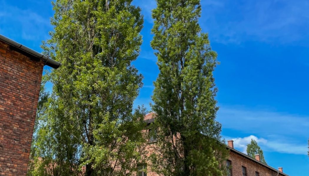 Visiting Auschwitz from Kraków: a sobering journey