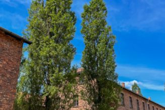 Visiting Auschwitz from Kraków: a sobering journey