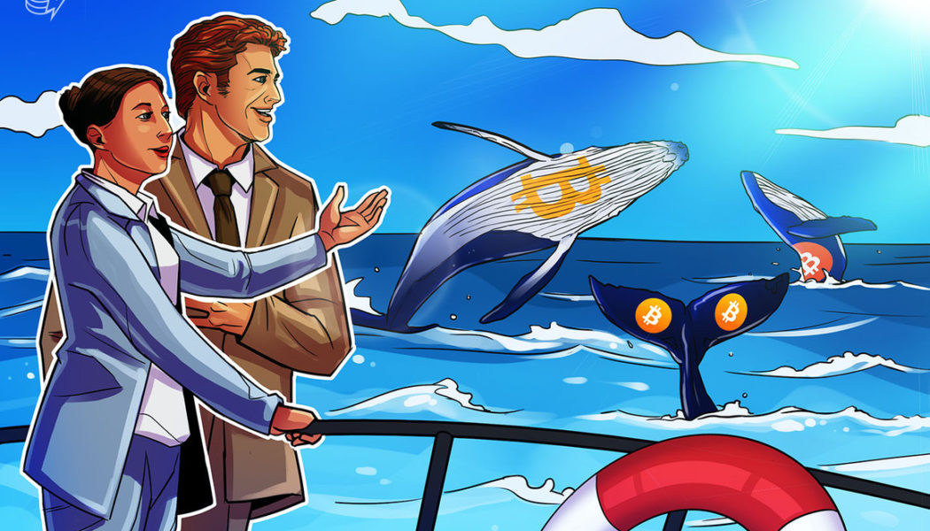 What is Bitcoin whale watching and how to track Bitcoin whales?