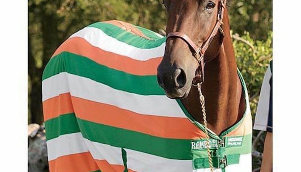 2022 Ebor Handicap Trends: Irish Have Won 46% Of The Last 13