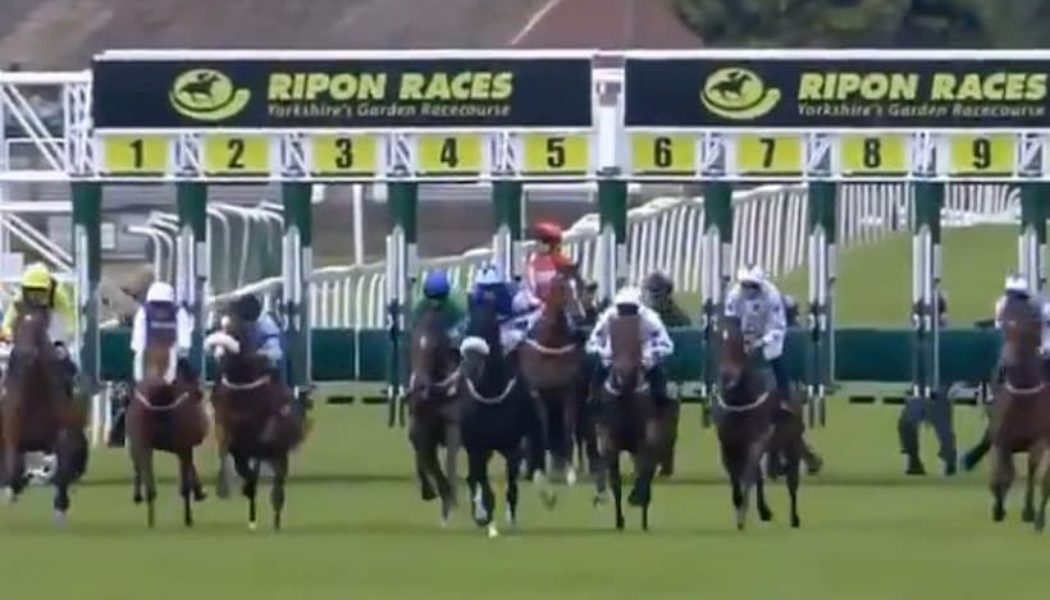 2022 Great St Wilfrid Handicap Trends and Tips For Ripon Race