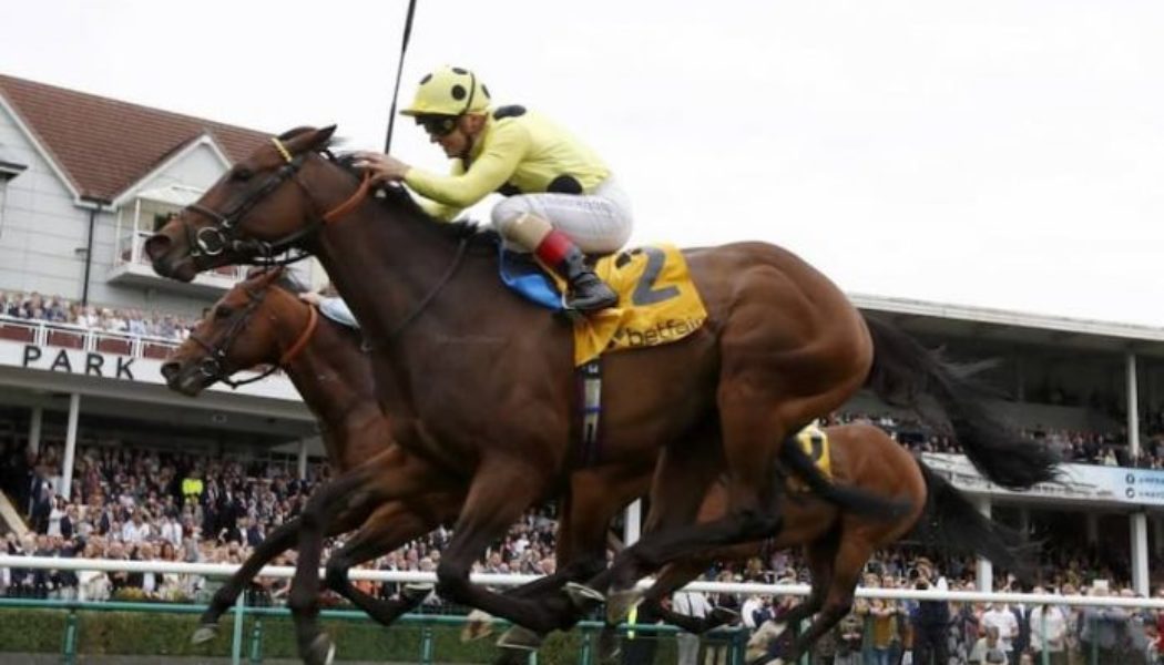 2022 Haydock Sprint Cup: Minzaal and Naval Crown Head Betting