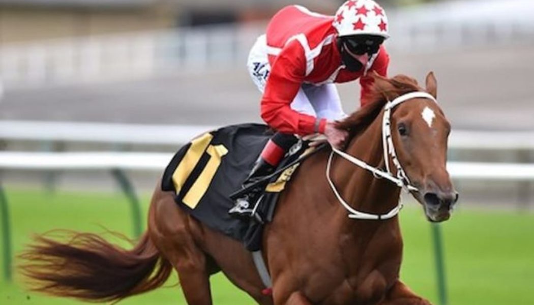 2022 Prix Rothschild Betting Tip & Entries | Saffron Beach To Shine