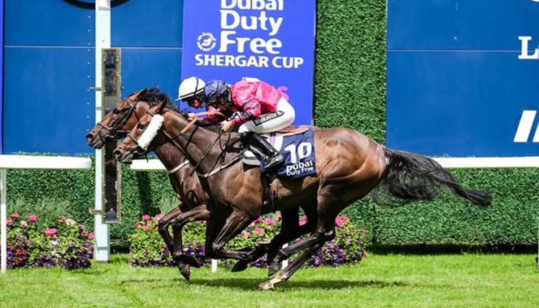 2022 Shergar Cup | How Does Saturday’s Ascot Fixture Work?