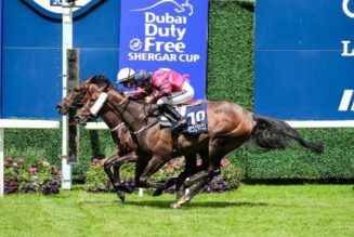 2022 Shergar Cup | How Does Saturday’s Ascot Fixture Work?