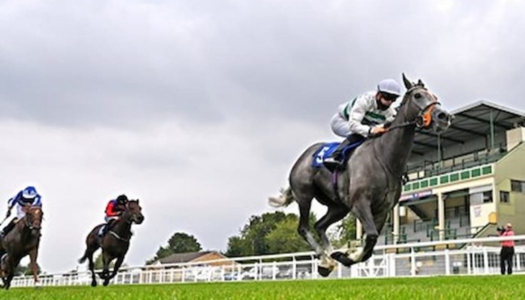 2022 Yorkshire Oaks Trends: Big Stat Says Alpinista CAN’T Win