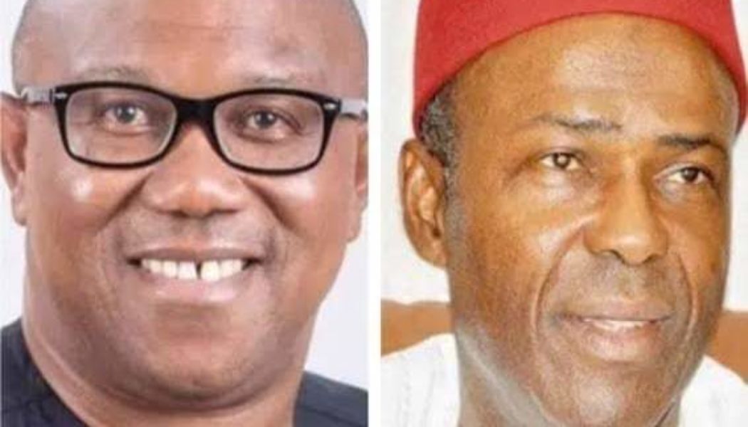 2023: I Never Endorse Peter Obi, Labour Party – Ogbonnaya Onu