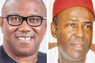2023: I Never Endorse Peter Obi, Labour Party – Ogbonnaya Onu