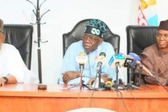 2023: I’ll Handle Security While Tinubu Will Handle Economy – Shettima