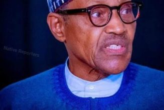 2023: Nigerians Will Appreciate APC In Six Months – Buhari