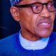 2023: Nigerians Will Appreciate APC In Six Months – Buhari