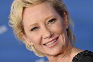 Anne Heche Remains in a Coma Following Car Crash