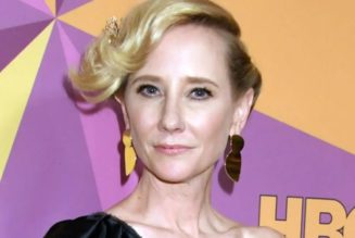 Anne Heche Seriously Injured After Crashing Car into Los Angeles Home