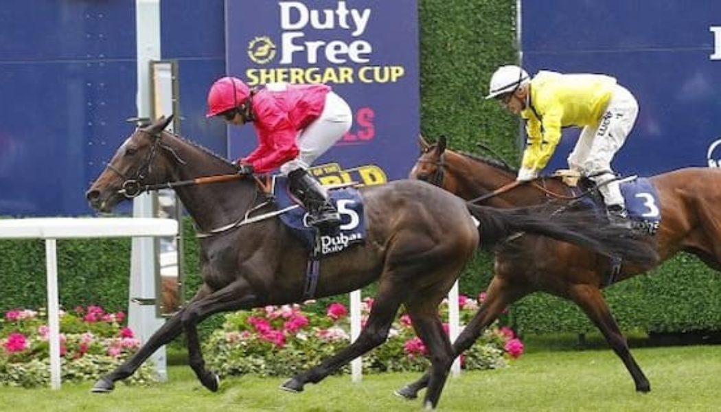 Ascot Shergar Cup 2022 Free Bets & Bookmaker Sign-Up Offers