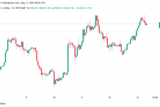 Bitcoin traders still favor new $20K lows as Ethereum hits $2K