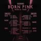 Blackpink Reveal Release Date for New Album Born Pink