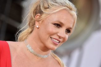 Britney Spears Responds to Ex Kevin Federline’s Claims That Their Sons Are Avoiding Her
