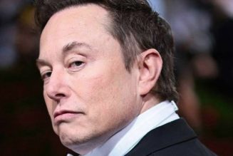 Court Has Granted Elon Musk Access to a Small, Yet Important Portion of Twitter’s Data