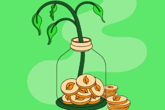 Crypto can’t fix carbon offsets — but crypto fans are trying anyway