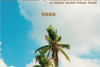 Dammy Krane ft Yaba Buluku Boyz (DJ Tarico, Preck & Nelson Tivane) – Egbe