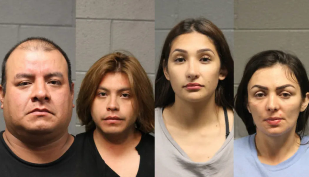Four Arrested in Lollapalooza Phone Theft Ring