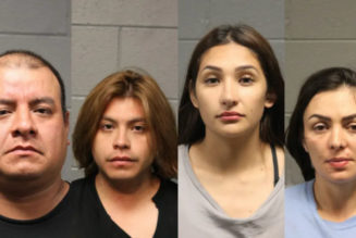 Four Arrested in Lollapalooza Phone Theft Ring
