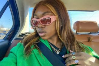 From A-Listers to Countless Fashion People, Copper Hair Is Still Trending