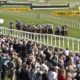 Hungerford Stakes Tips and Trends For Saturday’s Newbury Race