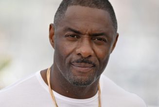 Idris Elba Is Open to Fighting Superman as Bloodsport