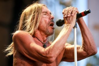 Iggy Pop, Descendents, Parquet Courts Lead Destination Chaos Festival