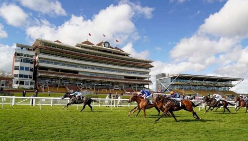ITV Racing Tips & Trends | Newmarket & Newbury Sat 13th August