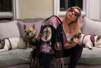Lady Gaga Dognapper Receives Four-Year Prison Sentence