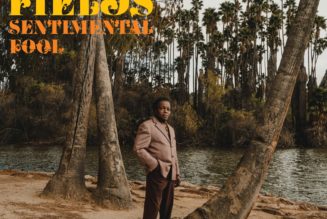 Lee Fields Announces New Album Sentimental Fool, Shares New Song