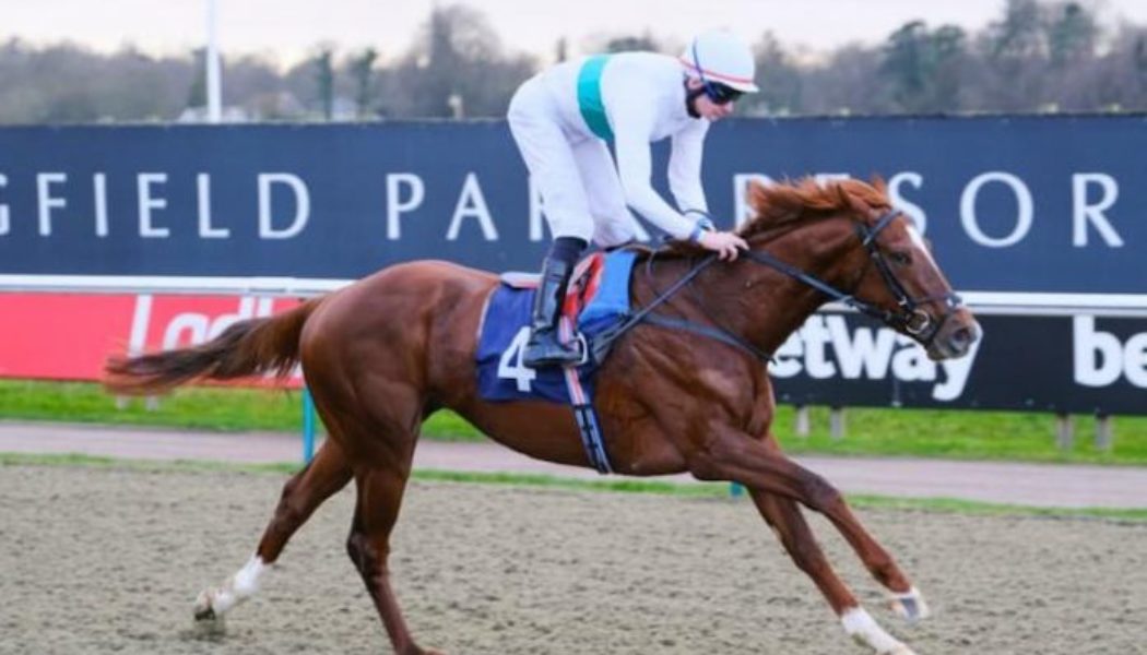 Lingfield Horse Racing Tips | ITV Racing League Best Bets Today