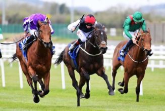 Little Big Bear 2000 Guineas Favourite After Phoenix Stakes Romp