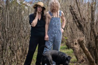 Low Cancel European Shows to Accommodate Mimi Parker’s Ovarian Cancer Treatment