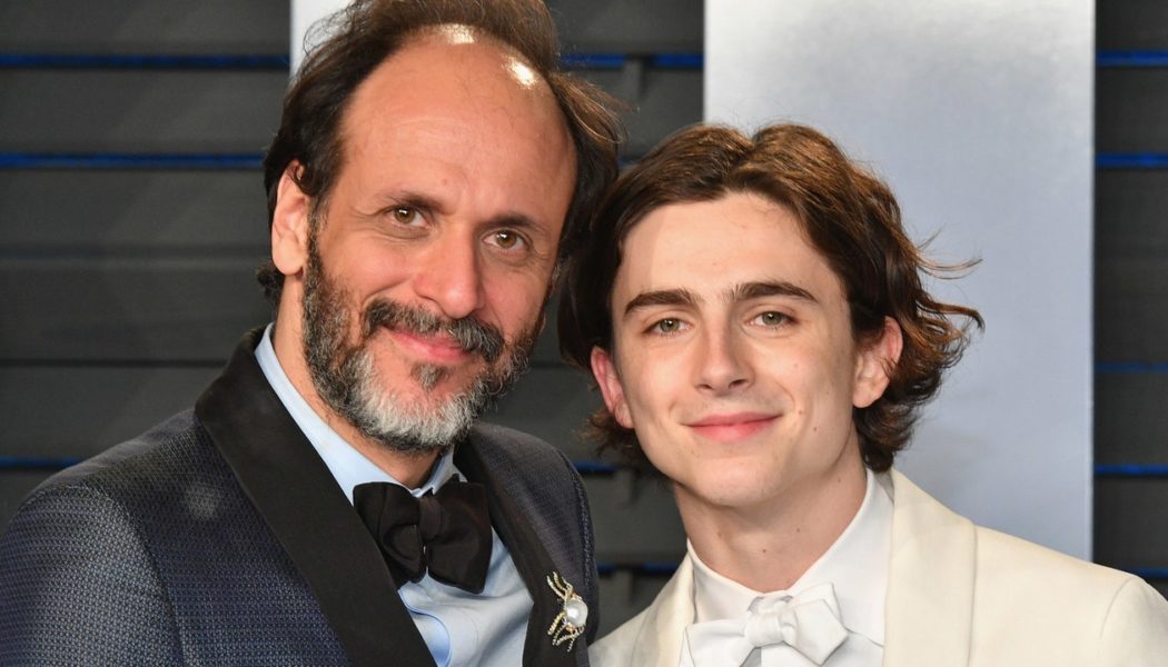 Luca Guadagnino’s Timothée Chalamet-Starring New Film Bones and All Gets First Teaser Trailer: Watch