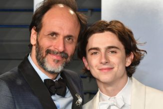Luca Guadagnino’s Timothée Chalamet-Starring New Film Bones and All Gets First Teaser Trailer: Watch