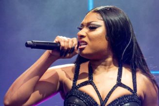 Megan Thee Stallion Demands WMG Reveal Documents Regarding Traumazine Leak