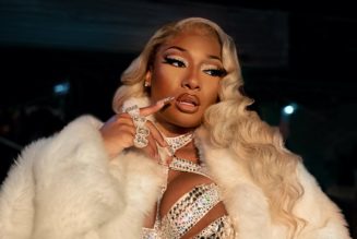 Megan Thee Stallion Guest Stars in P-Valley