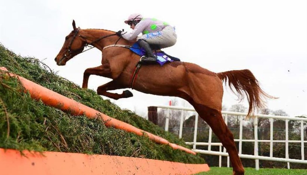 Monkfish Setback But Still Has 2023 Cheltenham Gold Cup In Sight