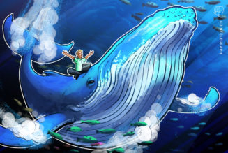 Mystery of the whale wallet holding 50% of Axie Infinity’s SLP supply