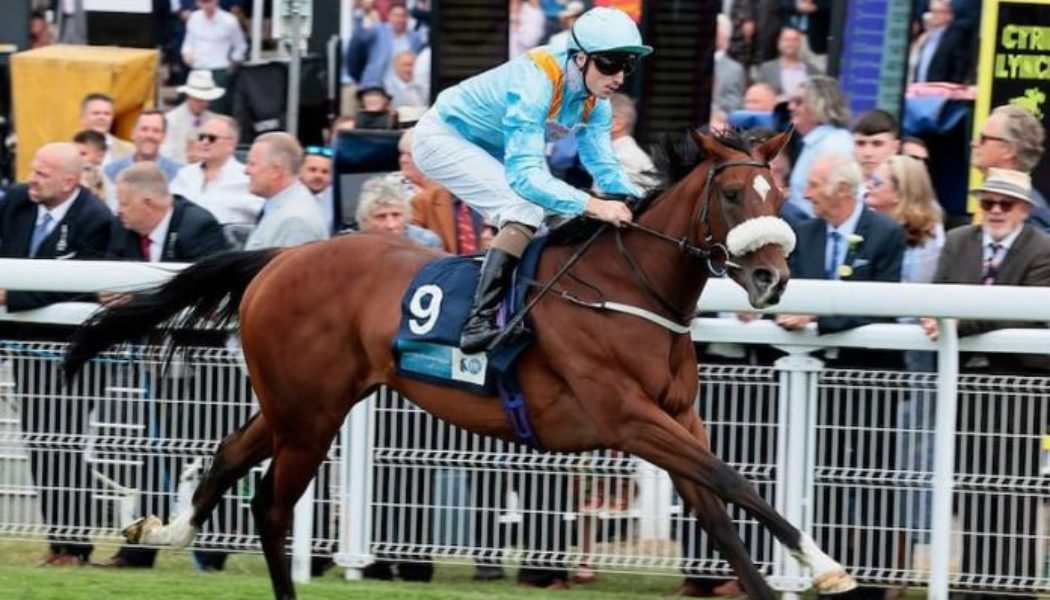 Nunthorpe Stakes Trends: See Our Big Stat Against The Platinum Queen