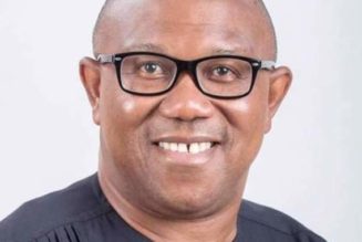 Peter Obi Promises Cuts In Cost Of Governance, Diaspora Voting