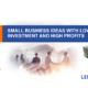 Popular Business Ideas With Minimal Investment