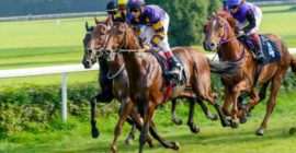 Racing Tips: Andrew Mount’s Saturday Picks – August 13th