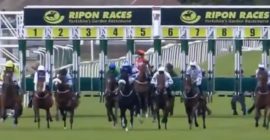 Ripon Great St Wilfrid Consolation Race Cancelled With Not Enough Runners