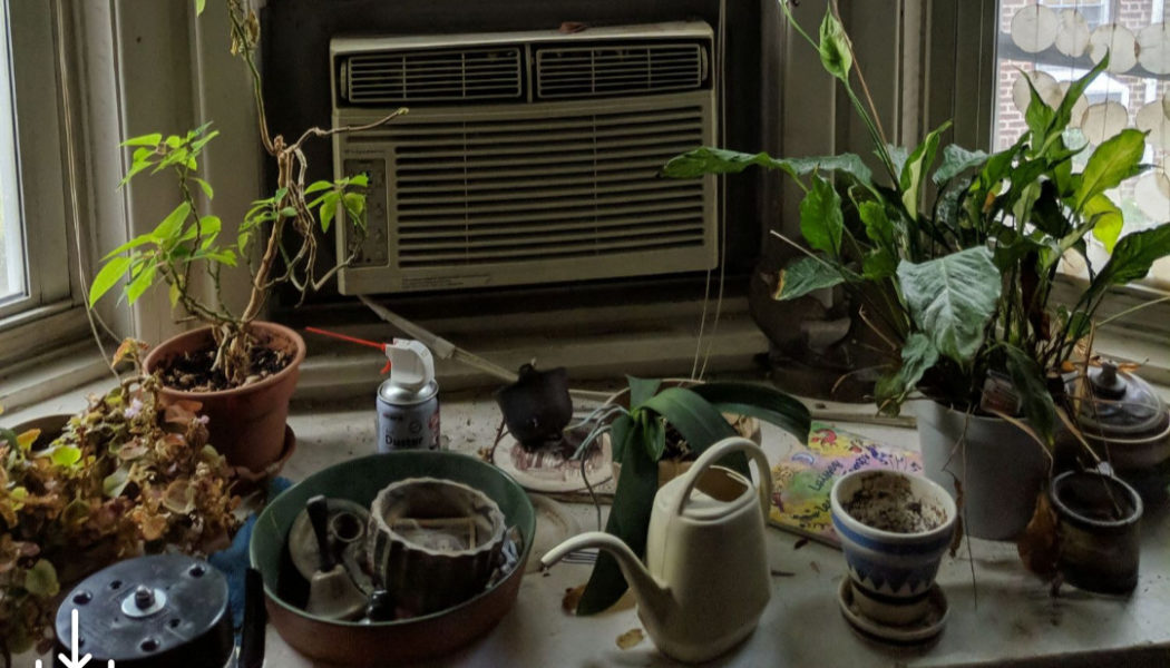 Stop using BeReal like Instagram