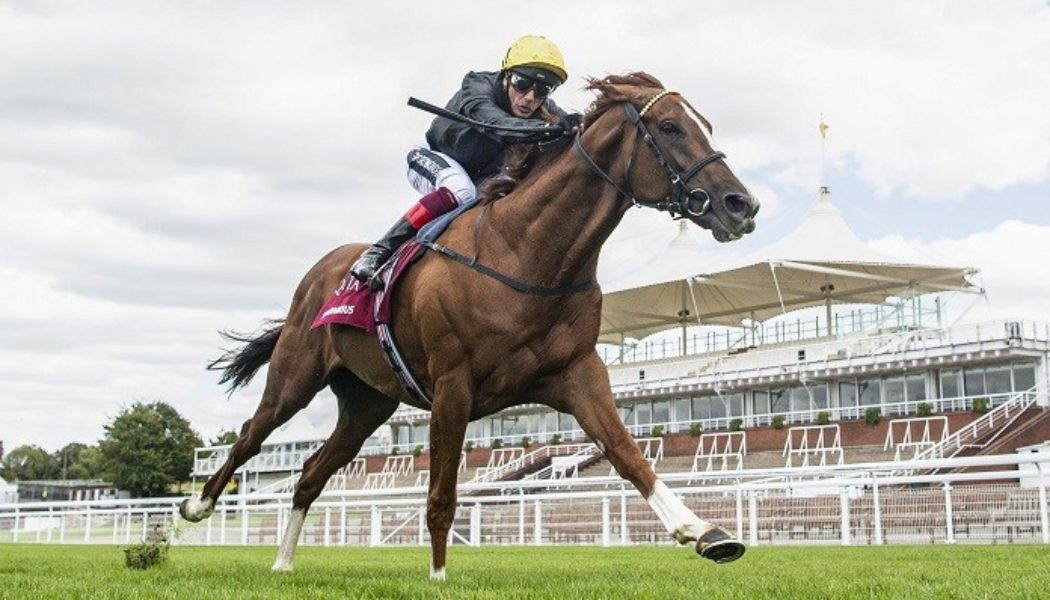 Stradivarius Puts Unbeaten York Record On The Line In Lonsdale Cup